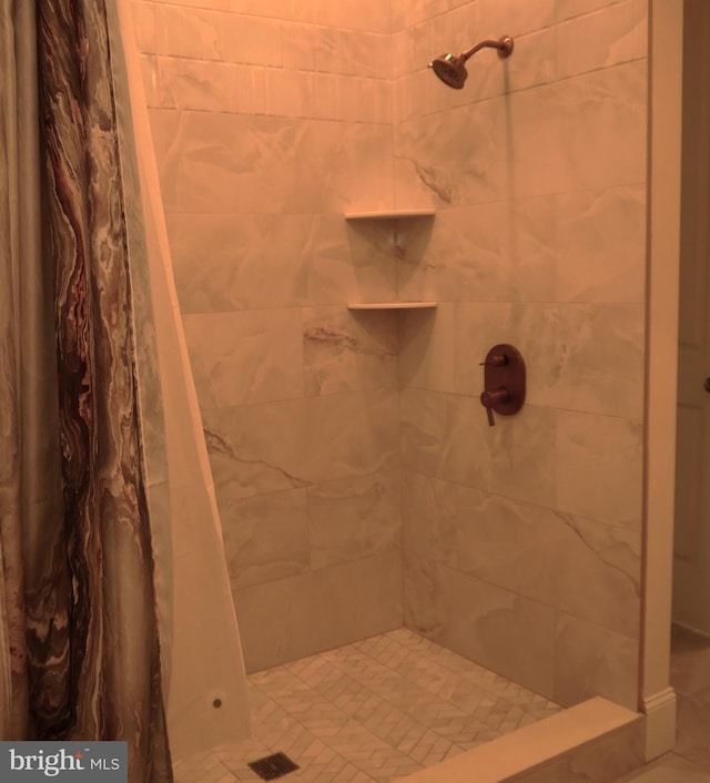 bathroom featuring a shower with shower curtain