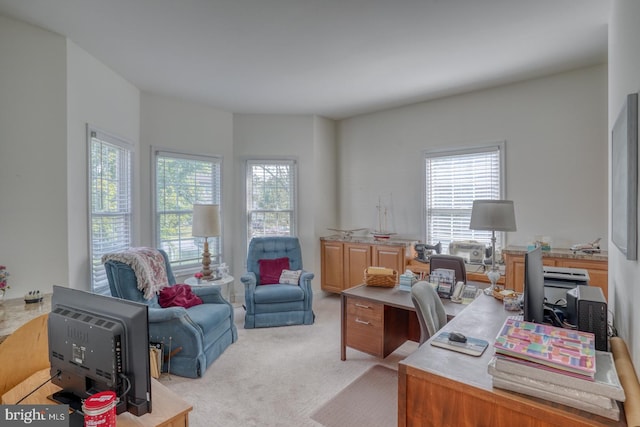 home office featuring light colored carpet