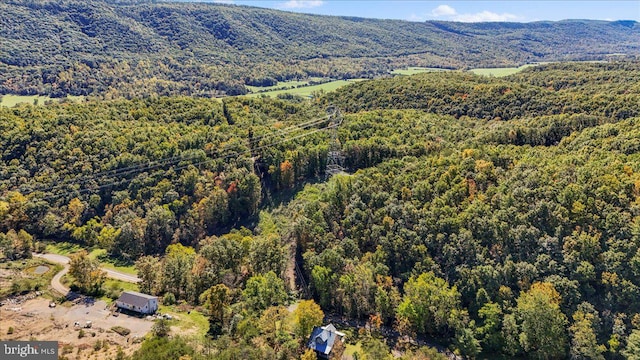 bird's eye view featuring a mountain view