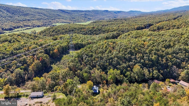 birds eye view of property featuring a mountain view