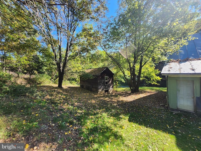 view of yard with a shed