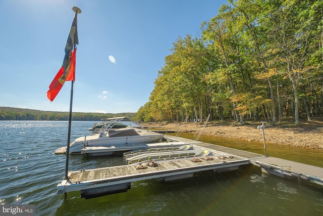 dock area featuring a water view