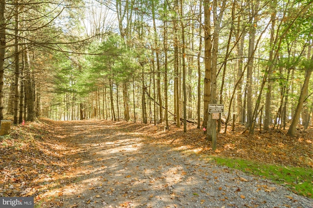 view of local wilderness