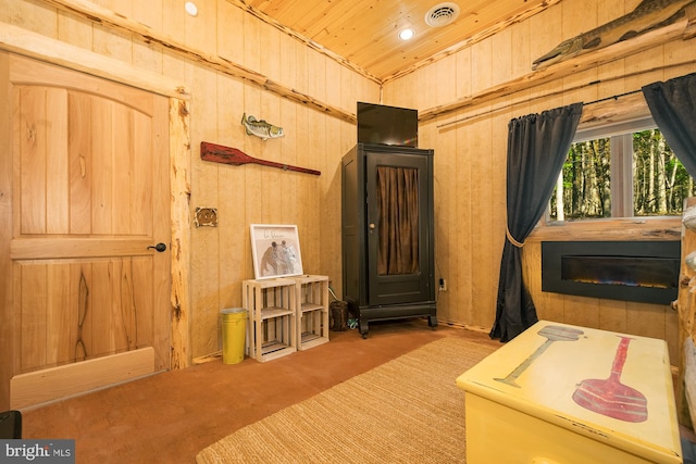 interior space with wooden ceiling and wooden walls