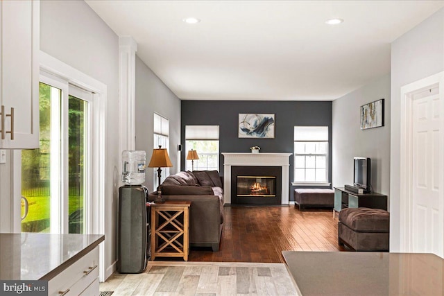 living room with hardwood / wood-style floors