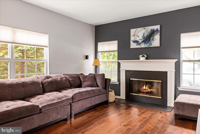 living room with dark hardwood / wood-style floors