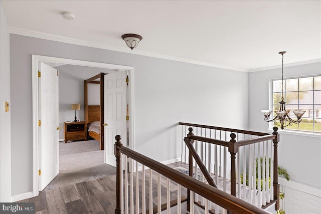 hall with ornamental molding, an inviting chandelier, and dark hardwood / wood-style flooring