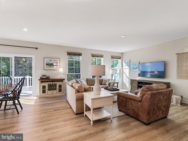 living room featuring light hardwood / wood-style flooring