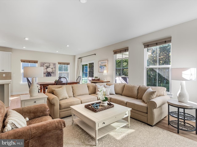 living room with light wood-type flooring and a wealth of natural light