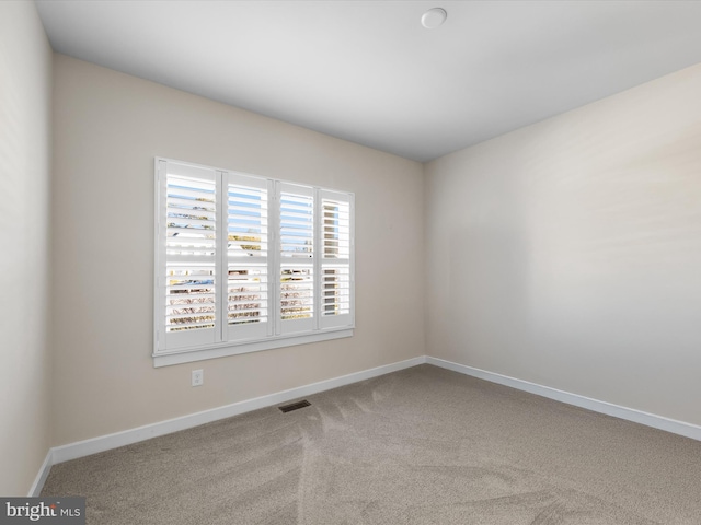 spare room with carpet floors