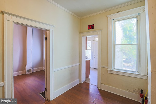 hallway with crown molding and dark hardwood / wood-style flooring