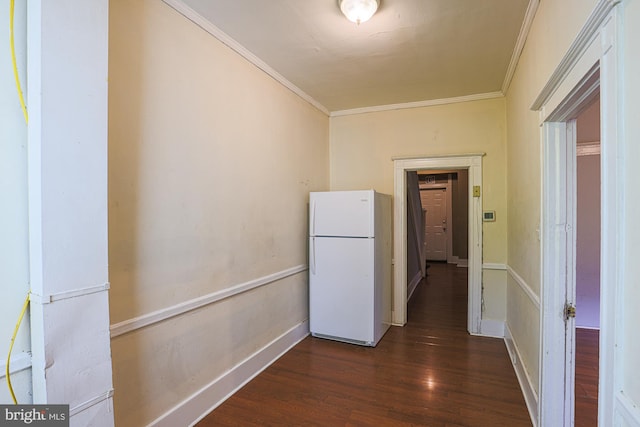 corridor featuring crown molding and dark hardwood / wood-style floors