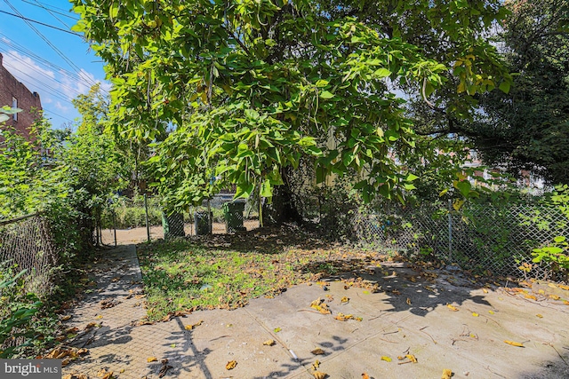 view of yard with a patio area