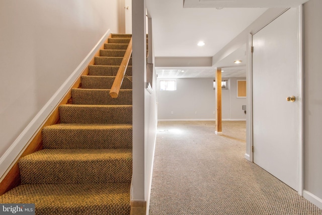 stairs with carpet flooring