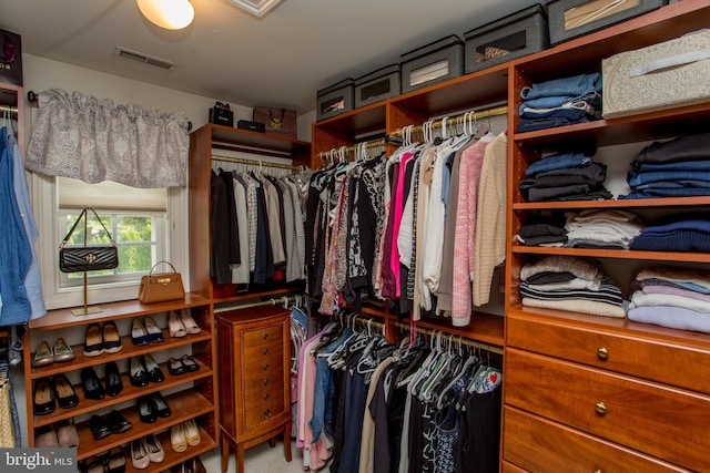 view of spacious closet