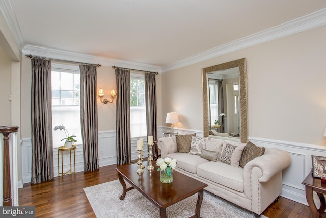 living room with crown molding and dark hardwood / wood-style flooring