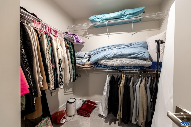 spacious closet with carpet