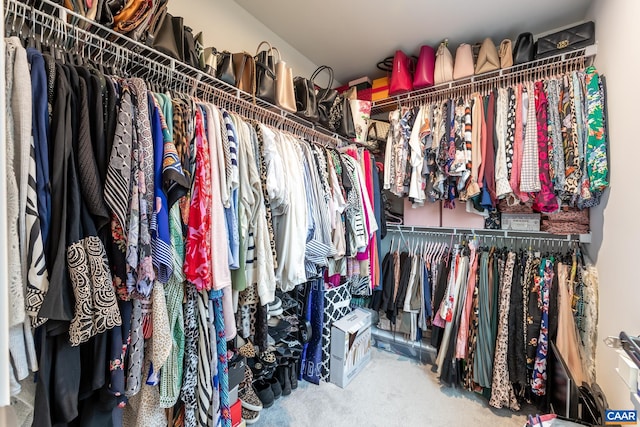 spacious closet featuring carpet floors