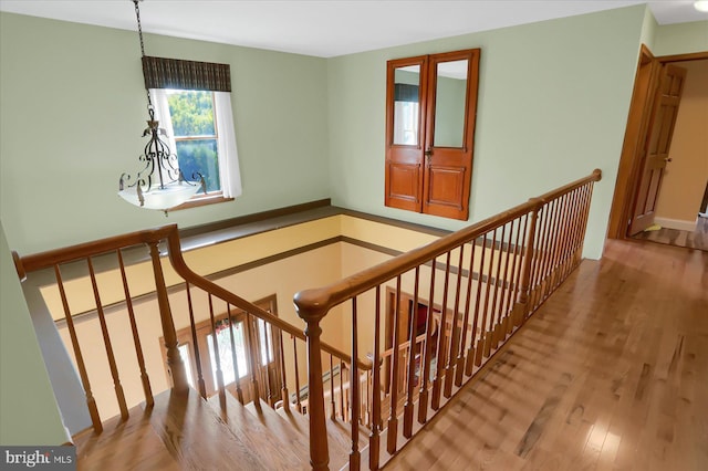 staircase featuring wood-type flooring