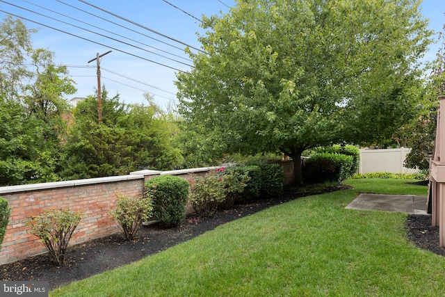 view of yard with a patio area