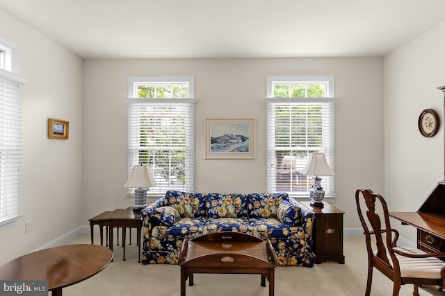 living room featuring plenty of natural light and light carpet