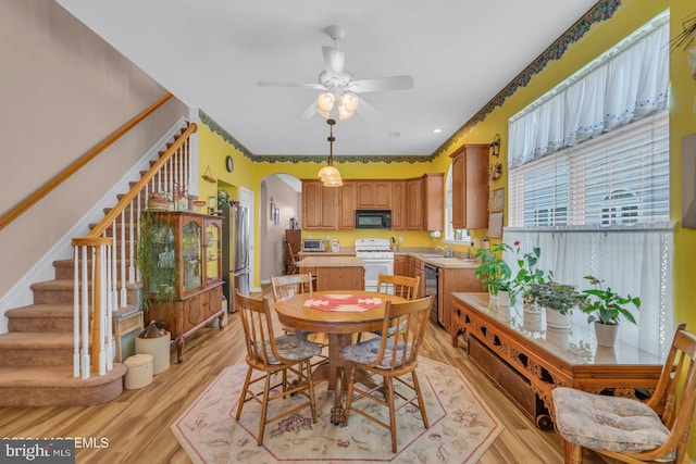 dining room featuring light hardwood / wood-style flooring, sink, and ceiling fan