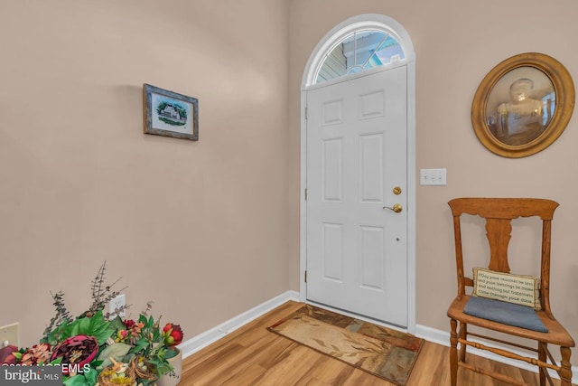 foyer entrance featuring wood-type flooring