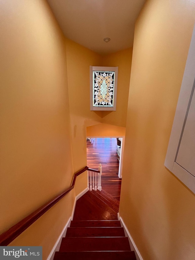 staircase with wood-type flooring