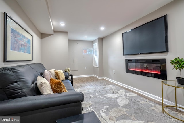 living room with hardwood / wood-style floors