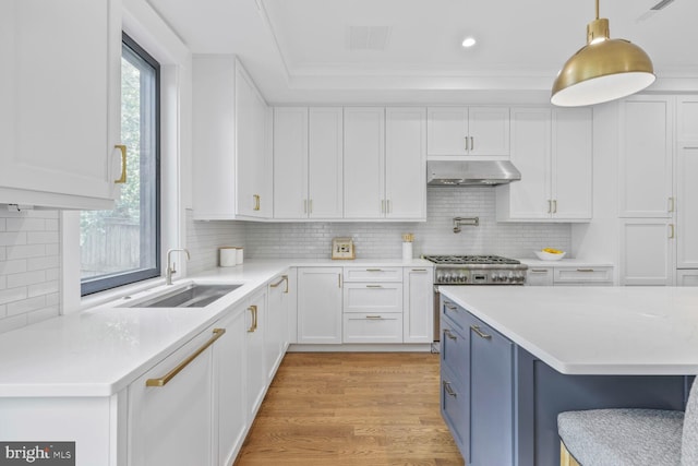 6019 Utah Ave NW, Washington, DC 20015 - kitchen with under cabinet range hood, light countertops, white cabinets, a sink, and decorative backsplash