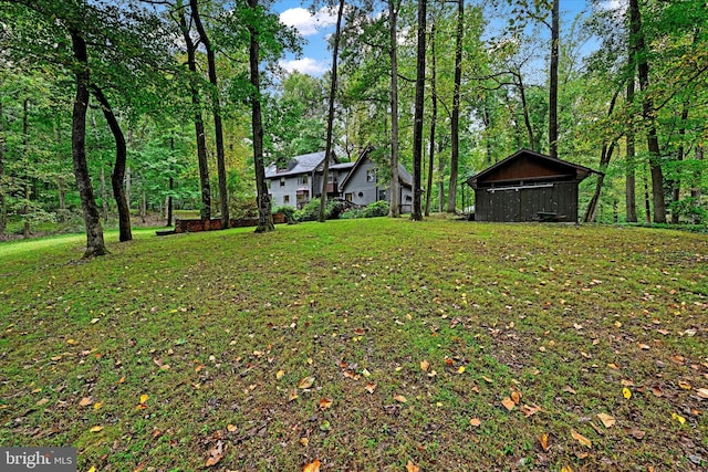 view of yard featuring a storage shed