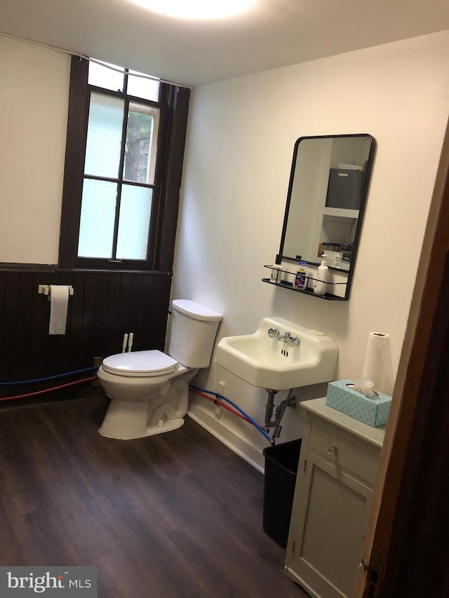 174 Jamison City Rd, Benton, PA 17814 - bathroom with hardwood / wood-style flooring, toilet, and sink
