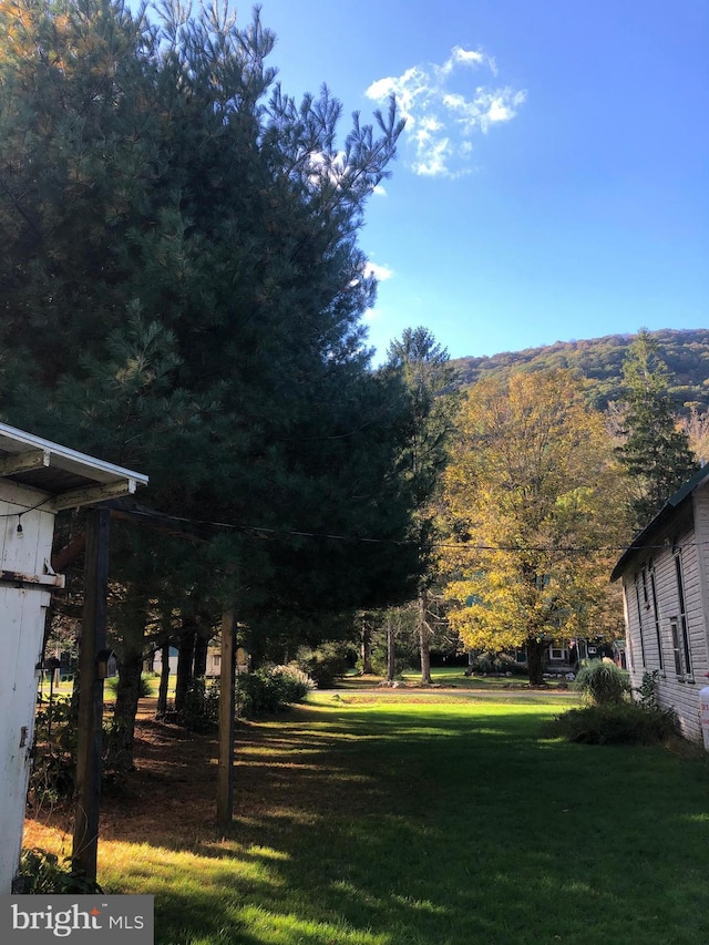 174 Jamison City Rd, Benton, PA 17814 - view of yard