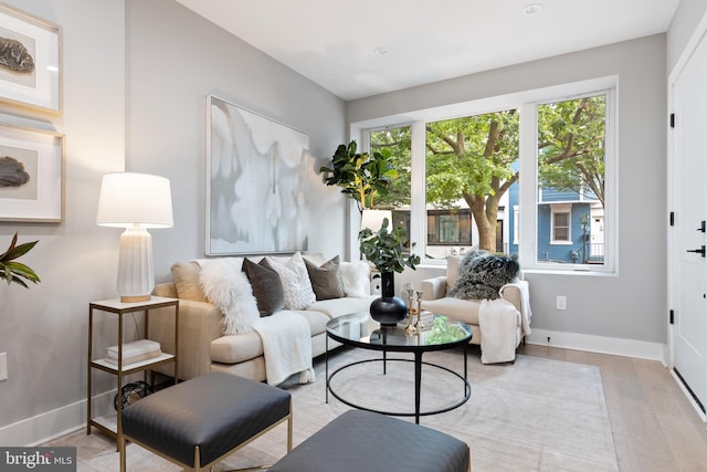 living room with light hardwood / wood-style floors