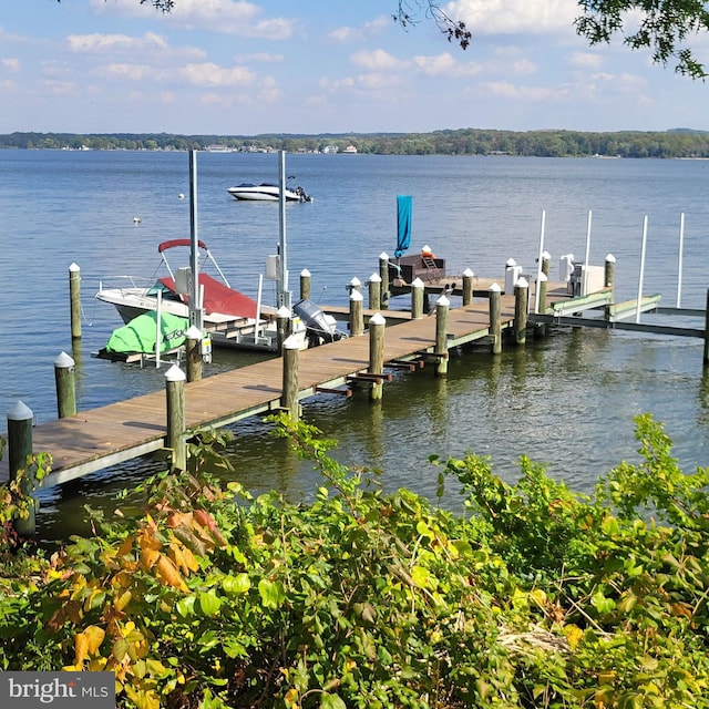 dock area with a water view