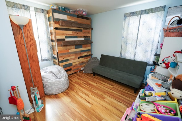 living room featuring hardwood / wood-style flooring