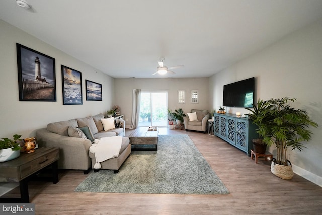 living room with ceiling fan and wood-type flooring