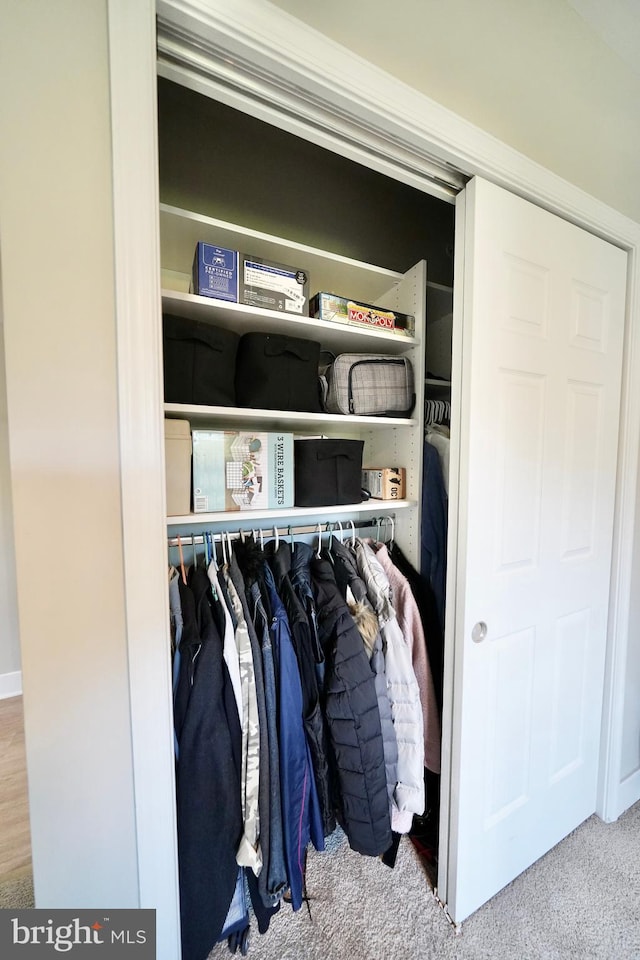 view of closet