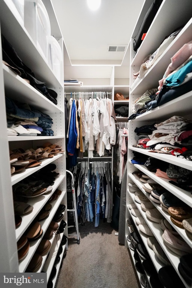 spacious closet featuring carpet floors