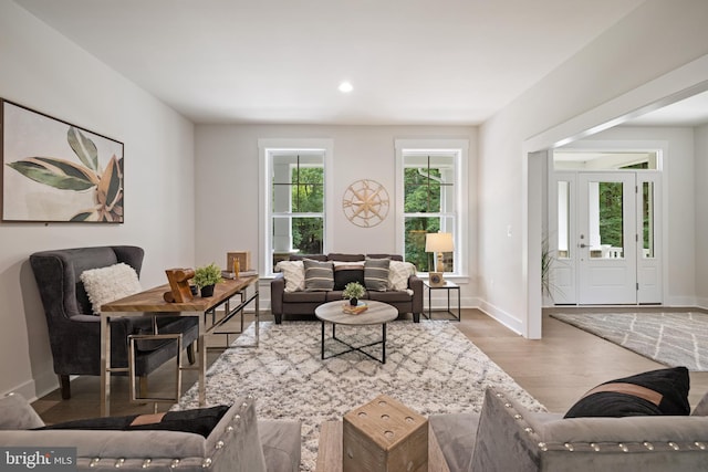 living room featuring wood-type flooring