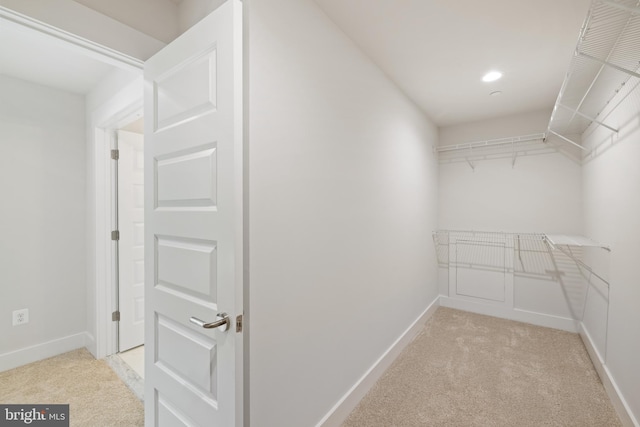 walk in closet featuring light carpet