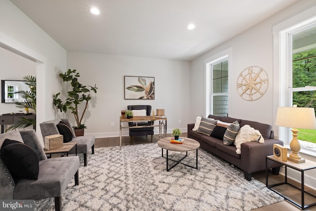 living room with hardwood / wood-style floors