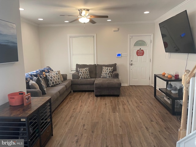 living room with ornamental molding, hardwood / wood-style flooring, and ceiling fan