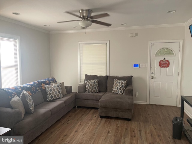 living room featuring ornamental molding, dark wood-type flooring, and ceiling fan