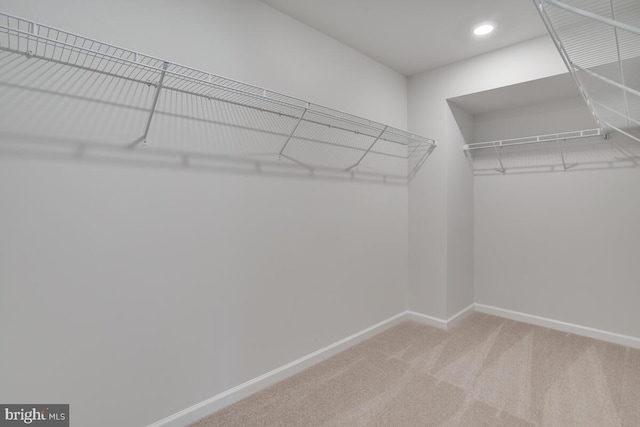 spacious closet with carpet flooring