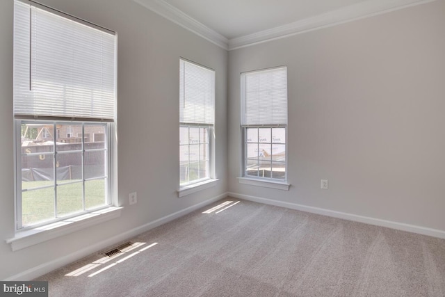 unfurnished room with crown molding and carpet