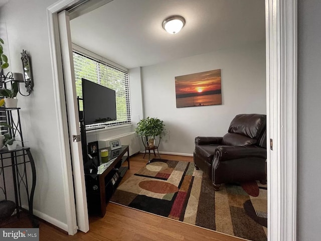 living room featuring hardwood / wood-style floors