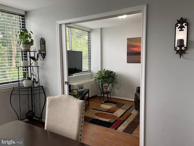 sitting room with plenty of natural light and wood-type flooring