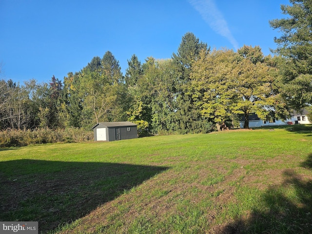 view of yard with a shed