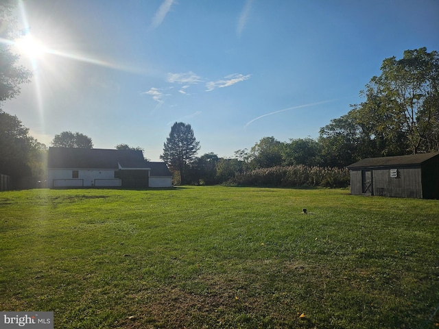 view of yard featuring a storage shed